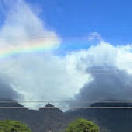 CRISPY SKIN CHICKEN THIGHS